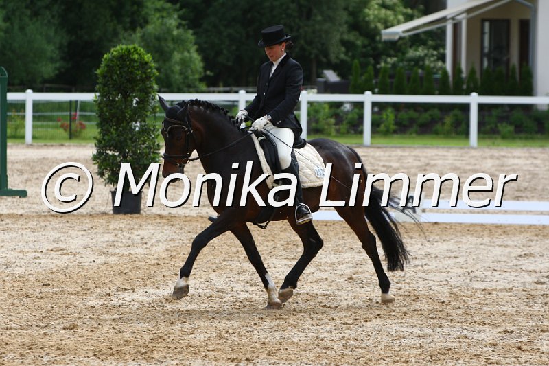 006M4129_Dressur L.JPG